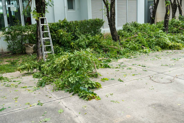 Best Lawn Drainage Solutions  in Cross Mountain, TX